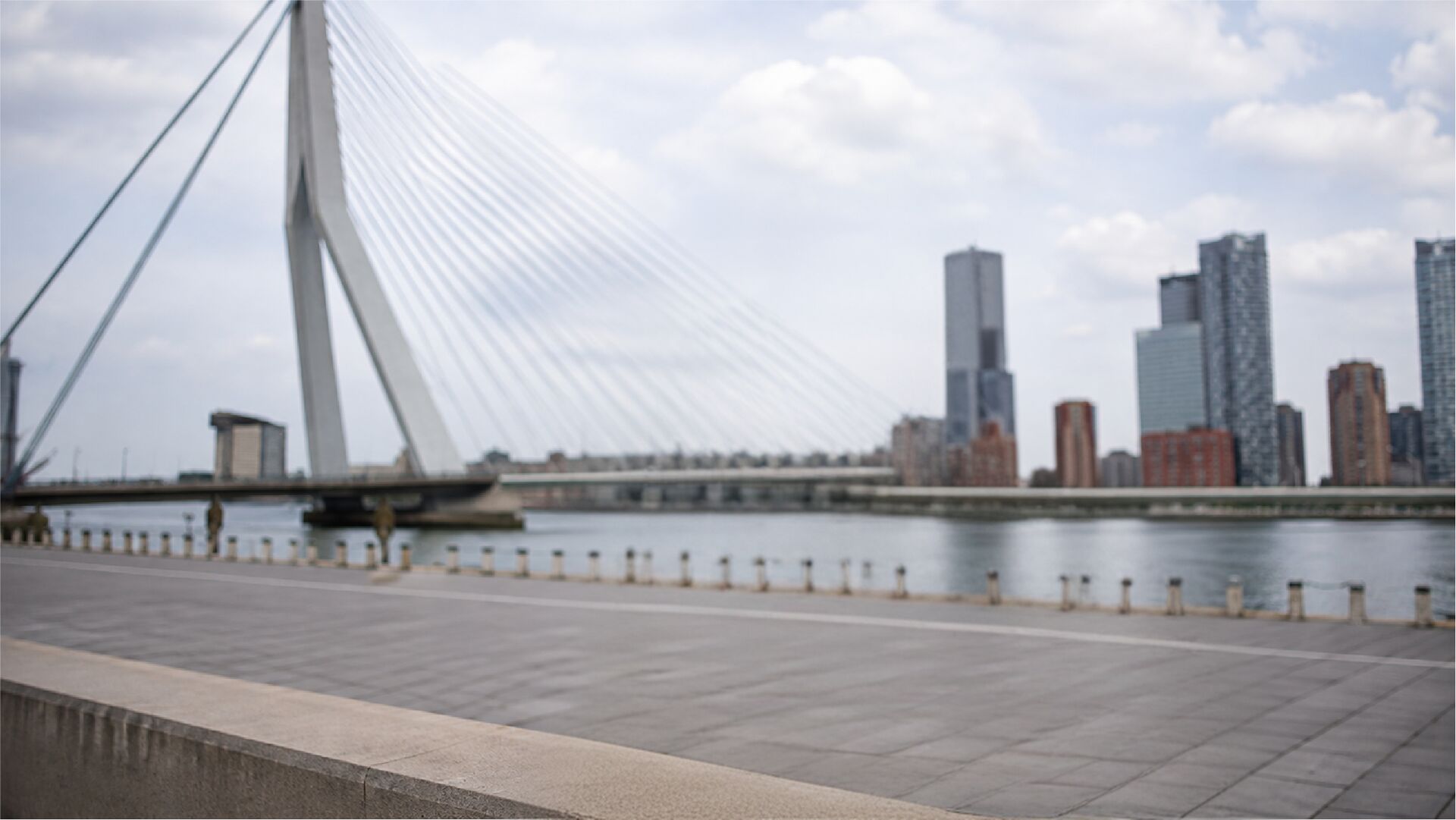 Kade langs de Maas met de Erasmusbrug